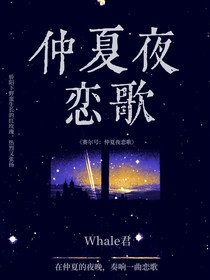 賽爾號(hào)：仲夏夜戀歌