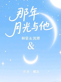 那年月光與他