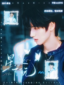 TOP：星落纪元