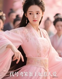 代号鸢笨蛋王妃惹人爱
