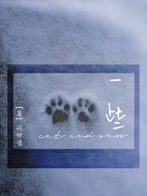 貓咪和雪