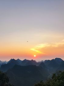 蛇蛻之咒
