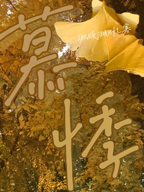 慕悸……