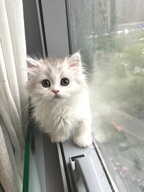 如果我胆子在大点