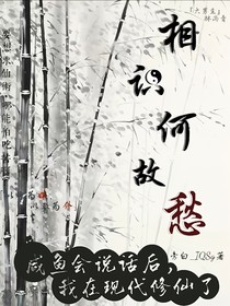 相见何故愁