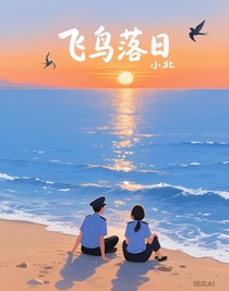 飞鸟落日