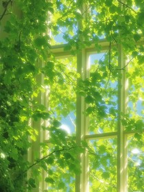 查九：開春