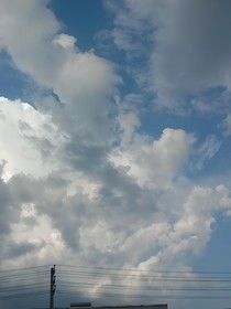 （春日无信）