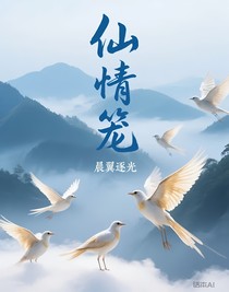 仙情笼