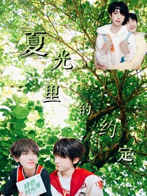 夏光里的约定