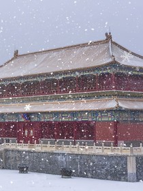 朱墙雪