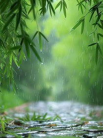 不愿回想