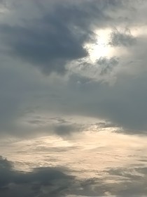 鳳鳶墨竹