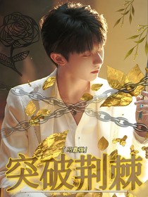 TNT：突破荆棘