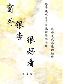 窗外的銀杏很好看