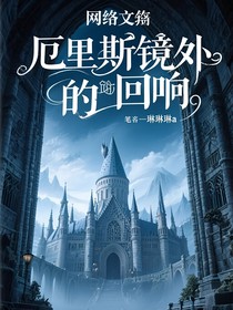 厄里斯镜外的回响