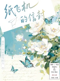纸飞机的信封