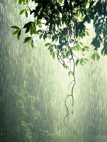 雨天下奔跑