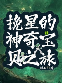 挽星的神奇寶貝之旅