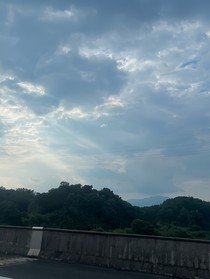 异域生存手册