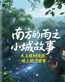南方的雨之小城故事