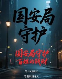 国安局守护