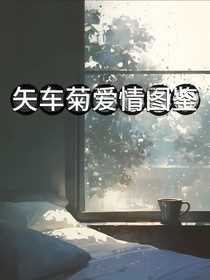 矢车菊爱情图鉴
