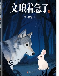 文琅着急了