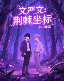 文严文：荆棘坐标