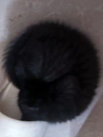 哥哥，請你多看看我