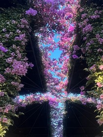 人生本是梦
