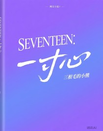 SEVENTEEN：一寸心