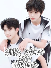 橹穆：师兄就这样自我攻略（聊天记录形式）