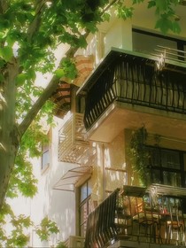 夏戀的相逢