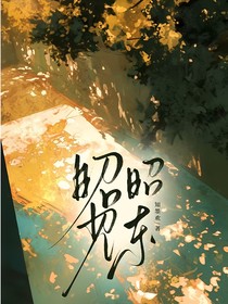 昭昭見東