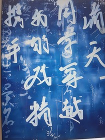 攜手和我的戲精同學(xué)穿越諸天世界