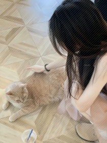 巷子里的貓倦