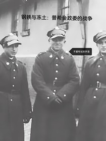 鋼鐵與凍土：普希金政委的戰(zhàn)爭