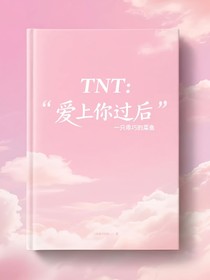 TNT：愛上你過后