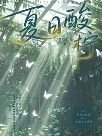 夏日酸柠