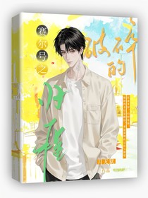 賽爾號之破碎的歸程