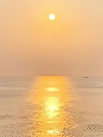 心動的信號8：晨檸微光