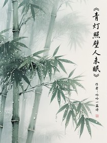 青灯照壁人未眠