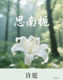 思南梔