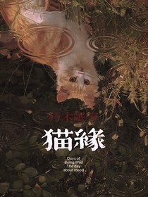 朽木眠春——猫缘