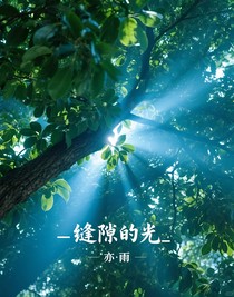 縫隙的光