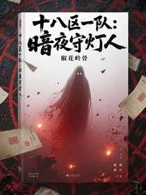 十八区一队：暗夜守灯人