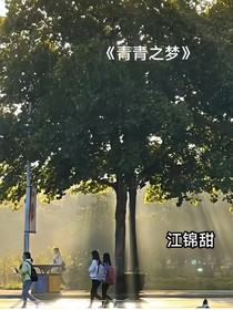 青春之心