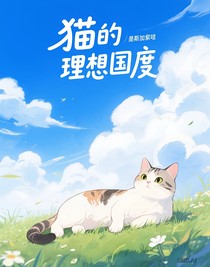 猫的理想国度