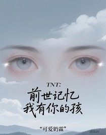 TNT：前世記憶我有你的孩